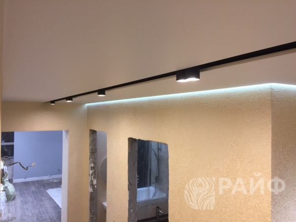 Натяжные потолки с трековыми светильниками